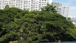 Blk 90 Commonwealth 16 (Queenstown), HDB 3 Rooms #540693261